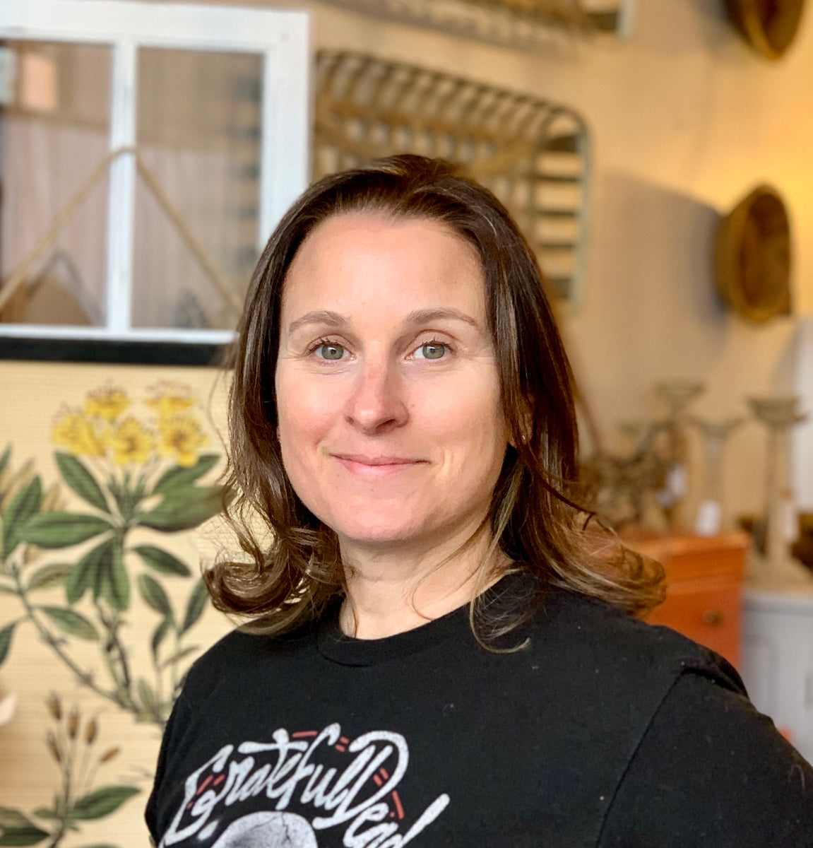 Furniture Painting or Interior Design Video Consultation Shackteau