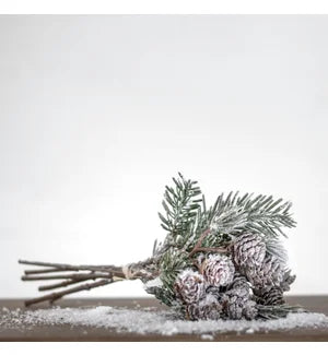 Pine Cone and Needle Bunch
