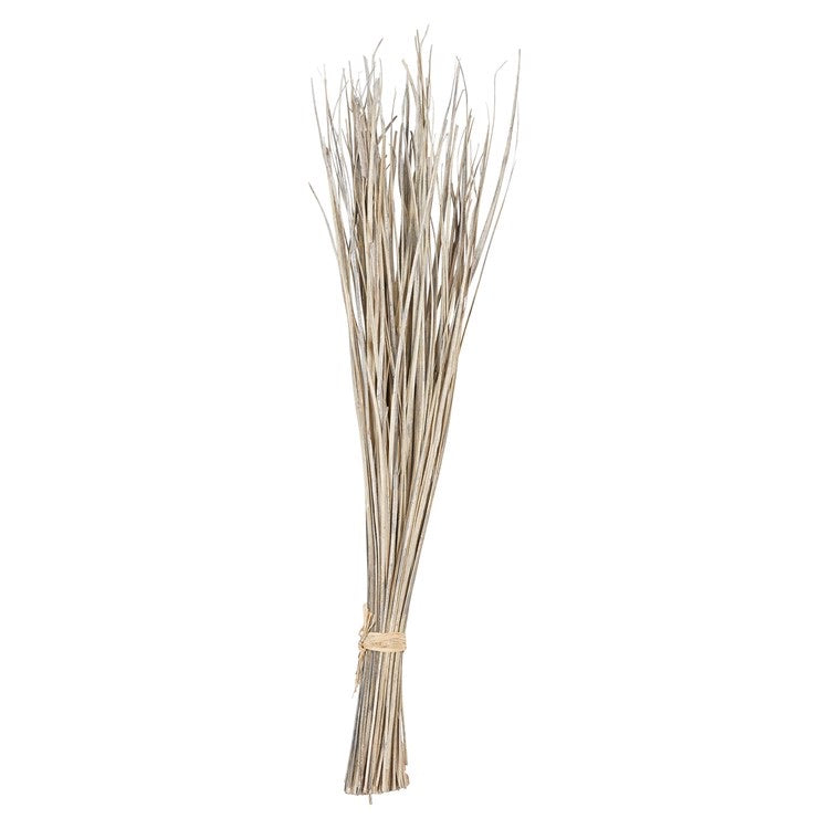 Dried Natural Date Palm Leaf Bunch - Shackteau Interiors