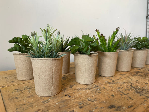 Faux Succulent in Paper Pot - Shackteau Interiors, LLC