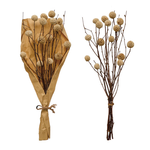 Dried Natural Globe Thistle - Shackteau Interiors, LLC